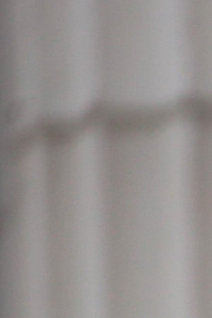 National guard troops stand guard near of the Kenosha County Courthouse as they wait for an announcement from the Kenosha district attorney on whether charges would be filed against Officer Rusten Sheskey on January 05, 2021 in Kenosha, Wisconsin. Photo by Scott Olson/Getty Images