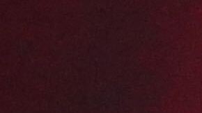 LAS VEGAS, NEVADA - NOVEMBER 13: José Luis Rodríguez accepts a Lifetime Achievement Award during the 2019 Latin Grammy Special Merit Awards  on November 13, 2019 in Las Vegas, Nevada. (Photo by Rich Fury/Getty Images)