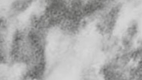 Screenshot image courtesy of the label