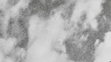 Screenshot image courtesy of the label
