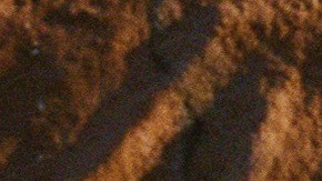 Photo by McArdle Hankin. Courtesy of the artist