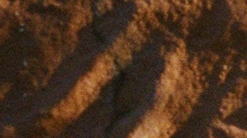 Photo by McArdle Hankin. Courtesy of the artist