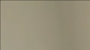 Priscilla Lopez 4 - Ratatouille