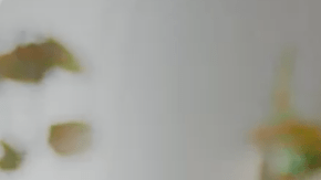 Screen Shot 2020-10-30 at 6.28.12 PM