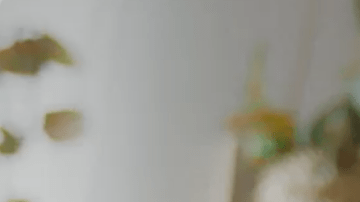 Screen Shot 2020-10-30 at 6.28.12 PM