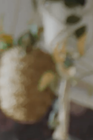 Screen Shot 2020-10-30 at 6.28.12 PM