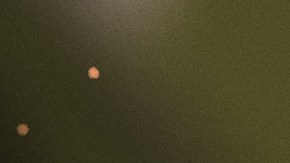 header-bishop-jose-torres