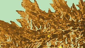 Art by Stephany Torres for Remezcla.