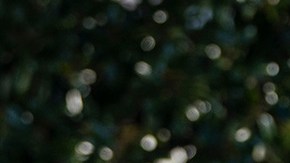 U.S. President Donald Trump turns to reporters as he exits the White House to walk toward Marine One on the South Lawn on January 12, 2021 in Washington, DC. Photo by Drew Angerer/Getty Images.