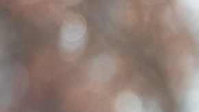 Vice President-elect Kamala Harris campaigns in support of Georgia Democratic Senate candidates Rev. Raphael Warnock and Jon Ossoff during a drive-in rally at Bibb Mill Event Center on December 21, 2020 in Columbus, Georgia. Photo by Jessica McGowan/Getty Images