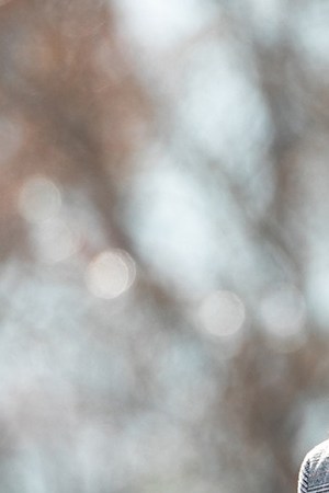 Vice President-elect Kamala Harris campaigns in support of Georgia Democratic Senate candidates Rev. Raphael Warnock and Jon Ossoff during a drive-in rally at Bibb Mill Event Center on December 21, 2020 in Columbus, Georgia. Photo by Jessica McGowan/Getty Images