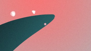 Art by Stephany Torres for Remezcla