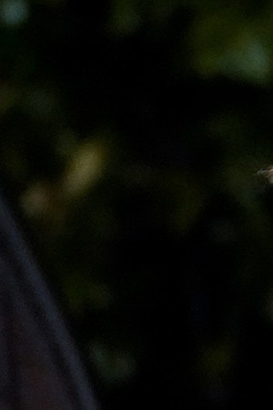 U.S. President Donald Trump walks to the White House residence after exiting Marine One upon his return on January 12, 2021 in Washington, DC. Photo by Drew Angerer/Getty Images