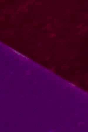 Morales. Photo by Annie Noelker. Courtesy of the artist