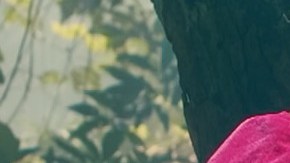 Photo by Jhoy Suarez. Courtesy of the band