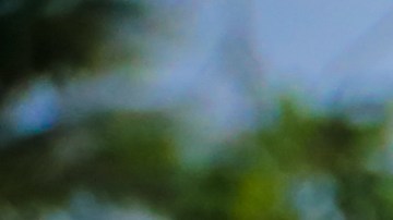 Photo by Mikey Cordero. Courtesy of the artist