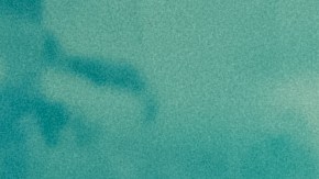 Photo courtesy of The Artistry Records.