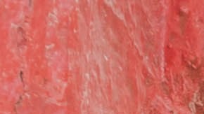 Photo courtesy of the artist.