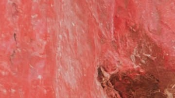 Photo courtesy of the artist.