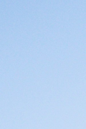 Infielder Fernando Tatis Jr. #23 of the San Diego Padres looks to toss a ball to a fan before facing the Oakland Athletics at HoHoKam Stadium on March 12, 2021 in Mesa, Arizona. (Photo by Matt Thomas/San Diego Padres/Getty Images)