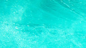Havana_Libre-Header