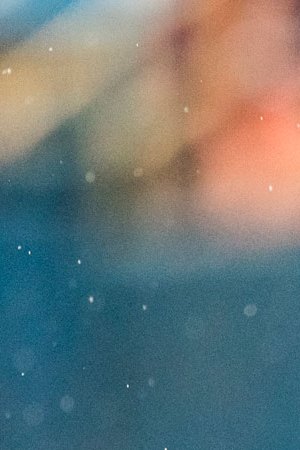 Photo: Erik Drost, CC BY 2.0