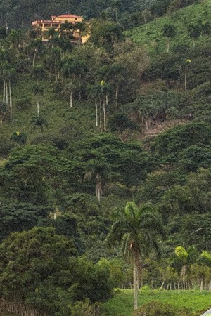 Art by Alan López for Remezcla