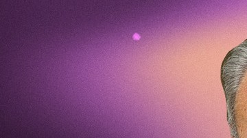 Art by Stephany Torres for Remezcla