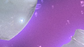 Art by Stephany Torres for Remezcla