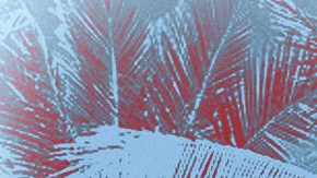 Art by Stephany Torres for Remezcla