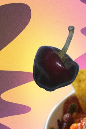 Art by Stephany Torres for Remezcla