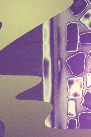 Art by Stephany Torres for Remezcla