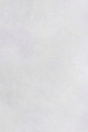 Photo courtesy of the artist.