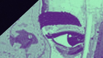 Art by Stephany Torres for Remezcla