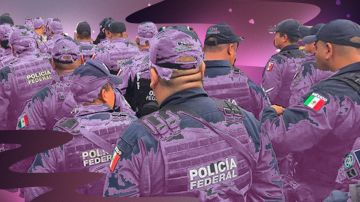 Art by Stephany Torres for Remezcla