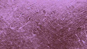 Art by Stephany Torres for Remezcla