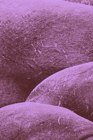 Art by Stephany Torres for Remezcla