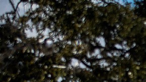 The Texas Capitol is surrounded by snow in on February 15, 2021 in Austin, Texas. Photo by Montinique Monroe/Getty Images