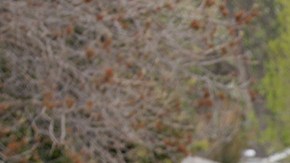 hristian (left) and his wife Monze (right) were laid off from restaurant jobs in mid-March and not qualified to receive unemployment because they are undocumented immigrants as they walk with their 9 and 4 year old sons on Thursday, April 9, 2020, in San Lorenzo, Calif. Liz Hafalia/The San Francisco Chronicle via Getty Images