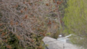 hristian (left) and his wife Monze (right) were laid off from restaurant jobs in mid-March and not qualified to receive unemployment because they are undocumented immigrants as they walk with their 9 and 4 year old sons on Thursday, April 9, 2020, in San Lorenzo, Calif. Liz Hafalia/The San Francisco Chronicle via Getty Images