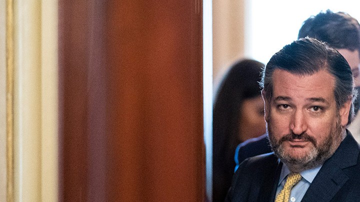 ted cruz