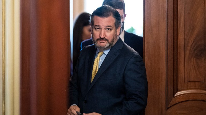ted cruz