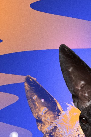 Art by Stephany Torres for Remezcla