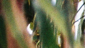 Photo by Ruben Zatarain. Courtesy of the artist