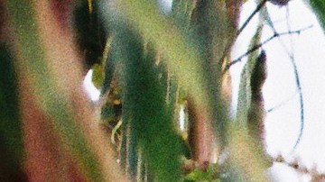 Photo by Ruben Zatarain. Courtesy of the artist