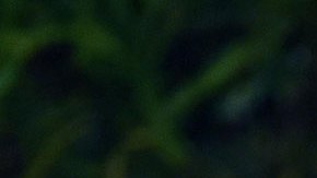 This is an exclusive image of Hindustan Times) Legendary Brazilian footballer Pele during a first day of Hindustan Times Leadership Summit (HTLS) 2018 at Taj Palace, on October 5, 2018 in New Delhi, India. (Photo by Amal KS/Hindustan Times via Getty Images)