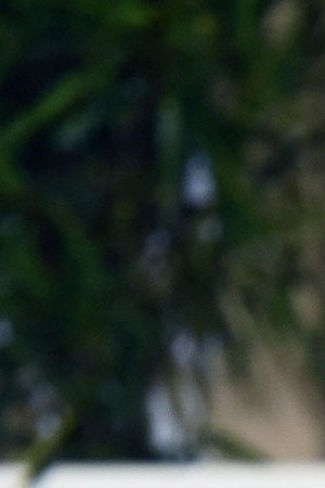 This is an exclusive image of Hindustan Times) Legendary Brazilian footballer Pele during a first day of Hindustan Times Leadership Summit (HTLS) 2018 at Taj Palace, on October 5, 2018 in New Delhi, India. (Photo by Amal KS/Hindustan Times via Getty Images)