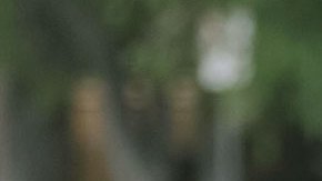 Ben Affleck and Ana de Armas are seen on July 24, 2020 in Los Angeles, California. (Photo by BG004/Bauer-Griffin/GC Images)