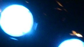 Photo courtesy of the New Latin Wave