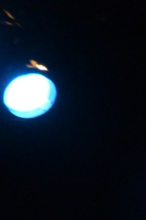 Photo courtesy of the New Latin Wave